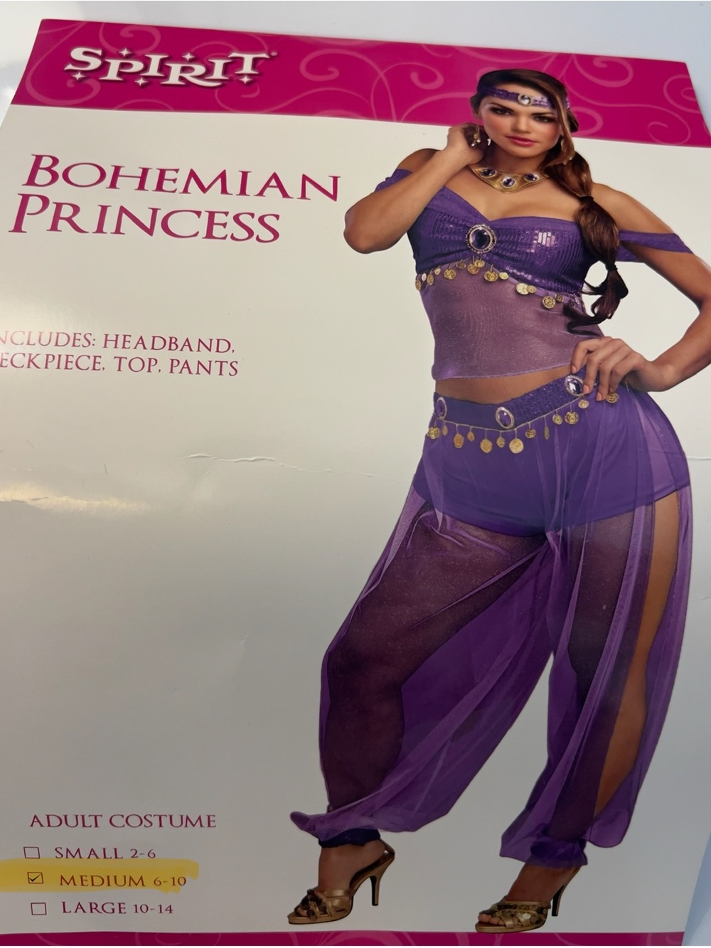 Spirit Bohemian Princess Women's Purple Costume Set Medium